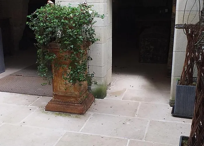 2 Pieces Et Jardin Hyper Centre * 昂热